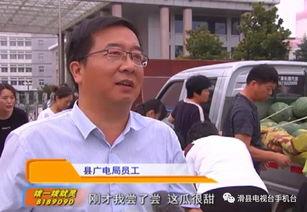 吃瓜网村干部,村干部的日常生活与工作点滴